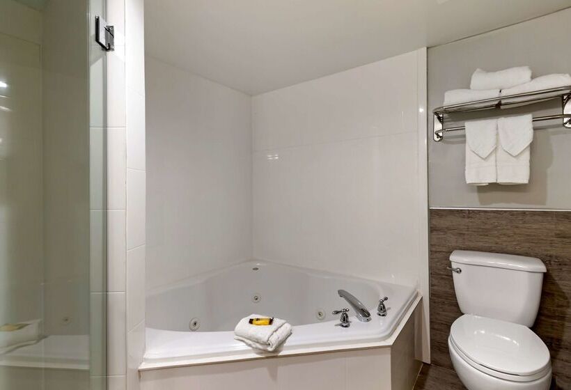 هتل Best Western Plus Mcallen Airport