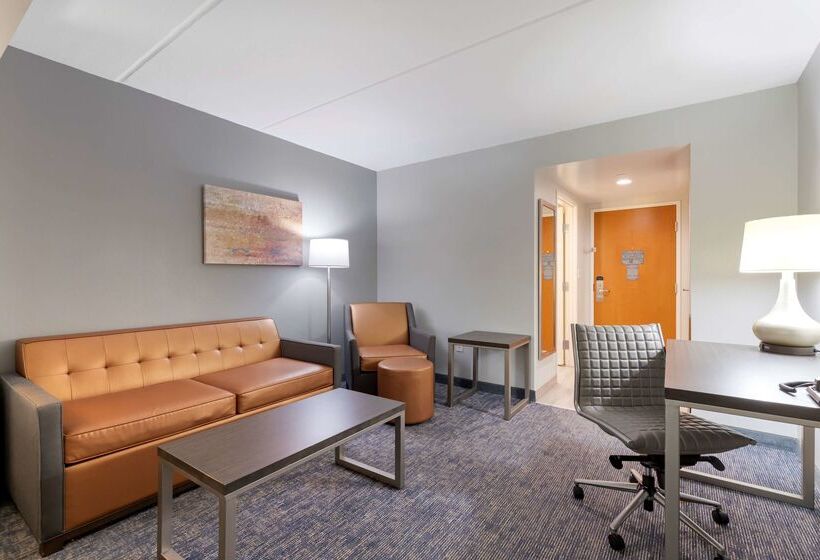 هتل Best Western Plus Mcallen Airport