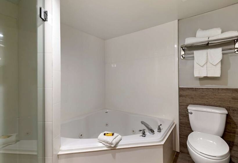 هتل Best Western Plus Mcallen Airport