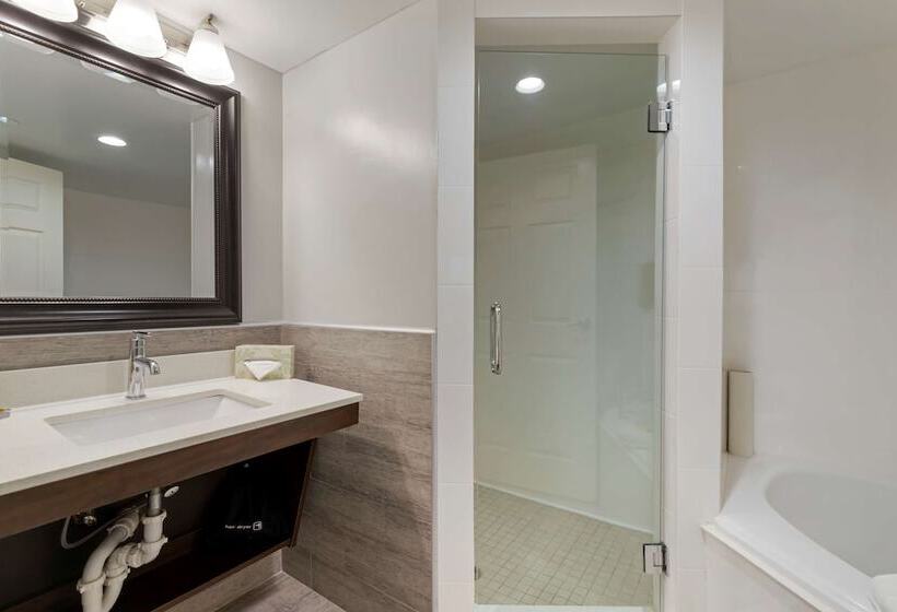 هتل Best Western Plus Mcallen Airport