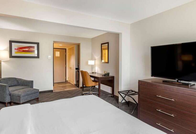 هتل Comfort Inn & Suites Grand Blanc Flint