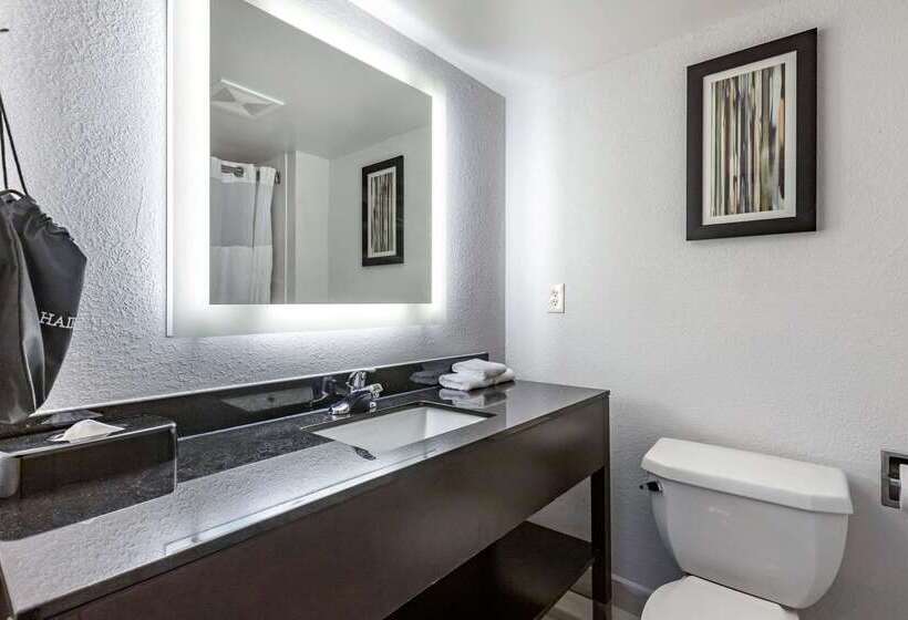 هتل Comfort Inn & Suites Grand Blanc Flint