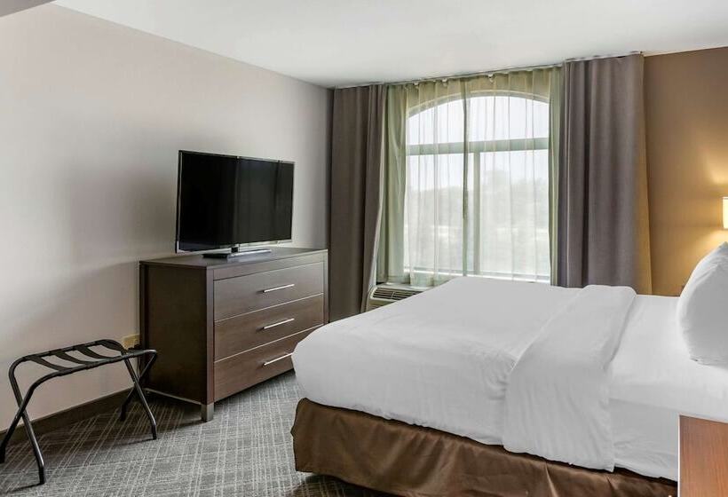 هتل Comfort Inn & Suites Grand Blanc Flint