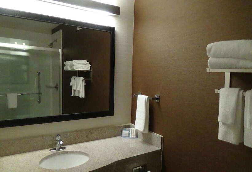 هتل Fairfield Inn & Suites By Marriott Atlanta Buford/mall Of Georgia