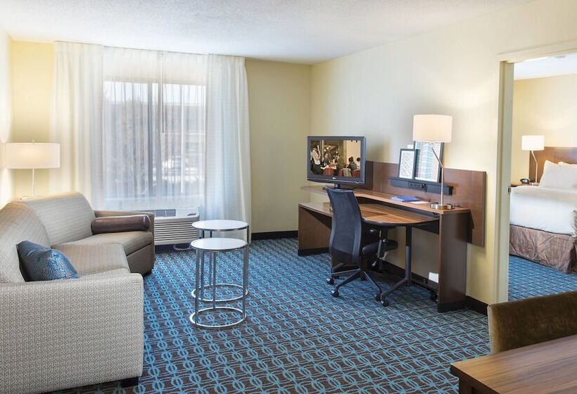 هتل Fairfield Inn & Suites By Marriott Atlanta Buford/mall Of Georgia