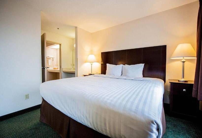 Отель Greystone Inn & Suites