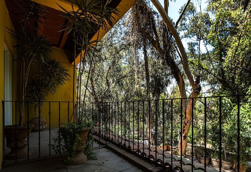 هتل Hacienda Del Molino