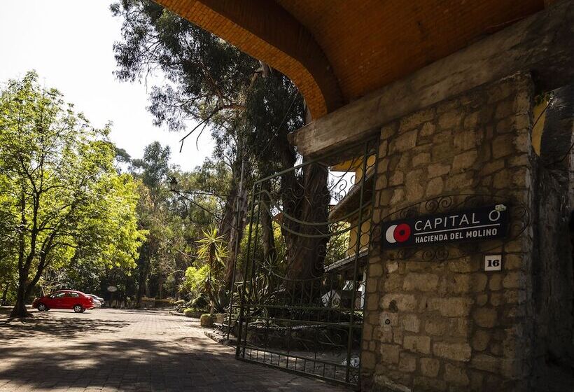 هتل Hacienda Del Molino