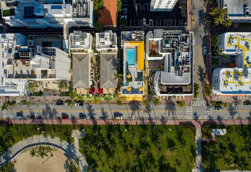 Fotos del hotel Leslie Hotel Ocean Drive:  16