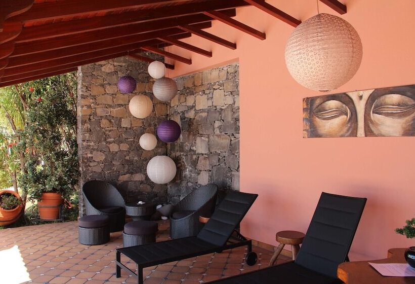 Fotos del hotel Ocean Gardens:  13