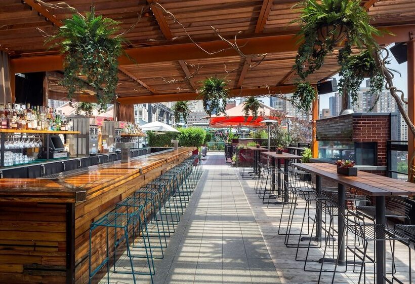 Fotos del hotel Park South Hotel, Part Of Jdv By Hyatt:  45