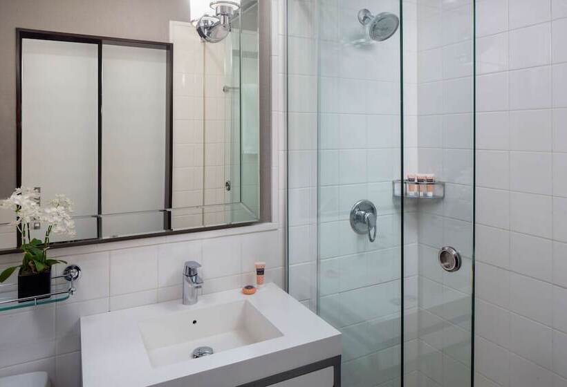 Fotos del hotel Park South Hotel, Part Of Jdv By Hyatt:  29