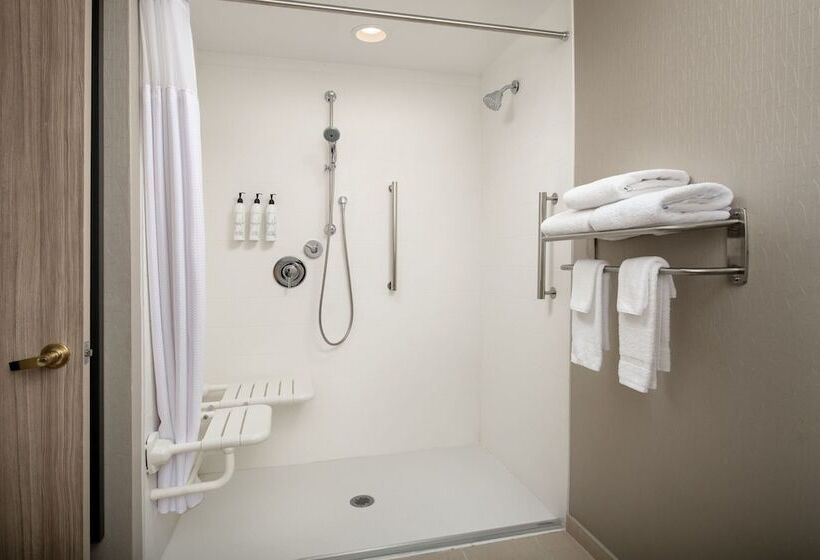 هتل Springhill Suites By Marriott Atlanta Buford/mall Of Georgia