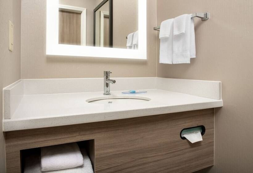 هتل Springhill Suites By Marriott Atlanta Buford/mall Of Georgia