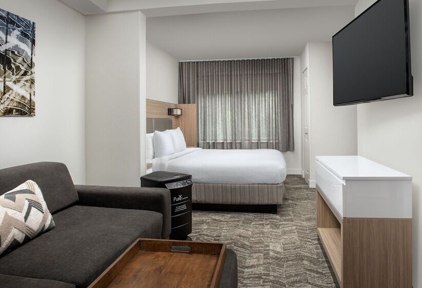 هتل Springhill Suites By Marriott Atlanta Buford/mall Of Georgia