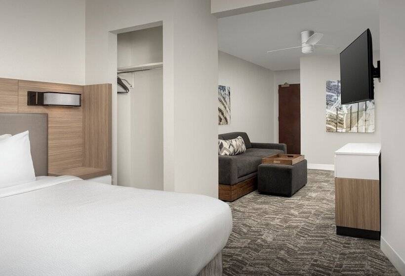 هتل Springhill Suites By Marriott Atlanta Buford/mall Of Georgia