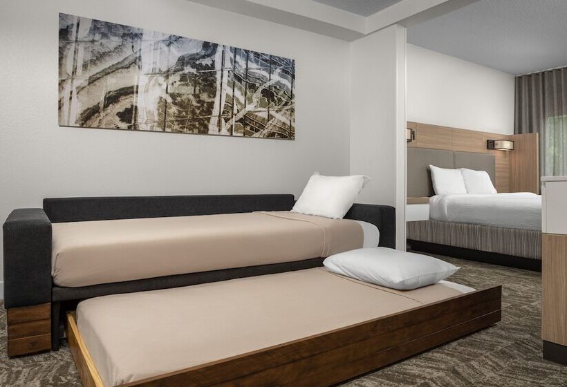 هتل Springhill Suites By Marriott Atlanta Buford/mall Of Georgia