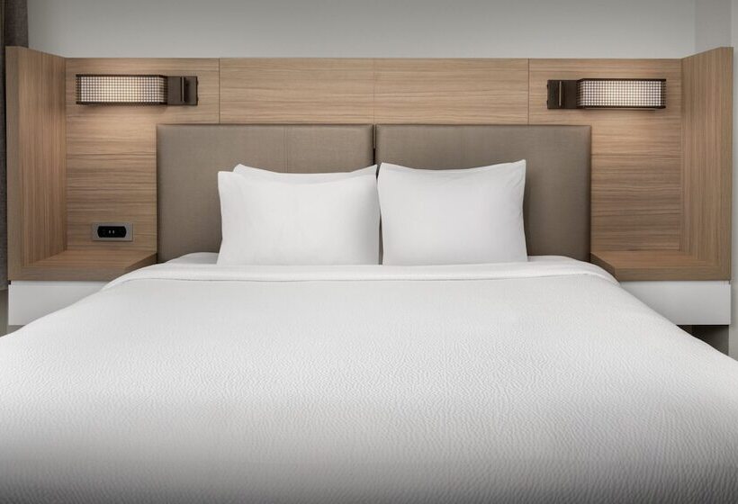 هتل Springhill Suites By Marriott Atlanta Buford/mall Of Georgia