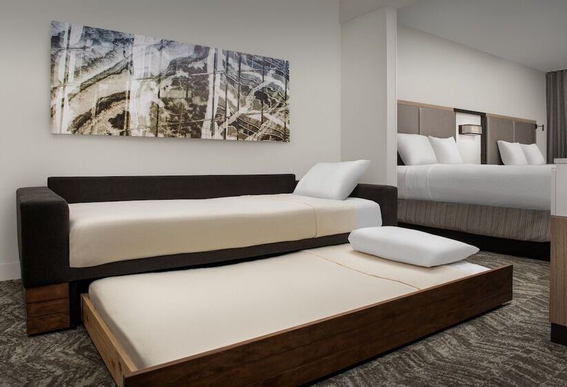 هتل Springhill Suites By Marriott Atlanta Buford/mall Of Georgia