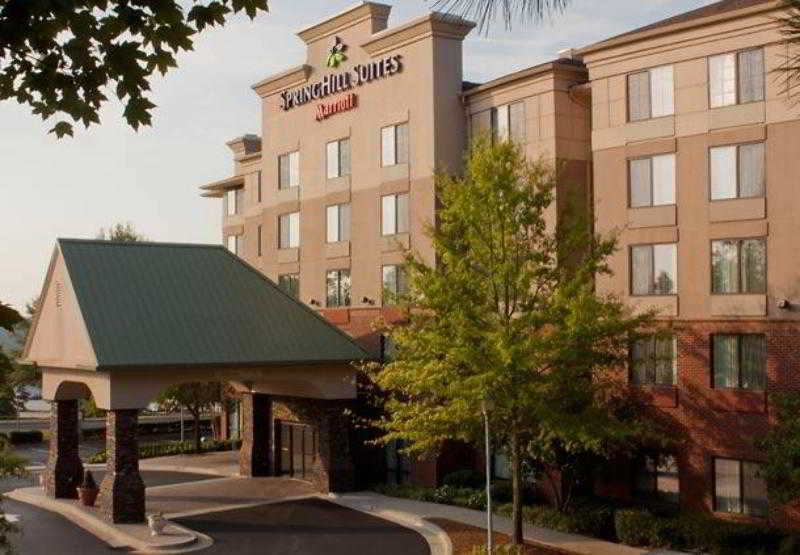 Hotel Springhill Suites Atlanta Buford/mall Of Georgia