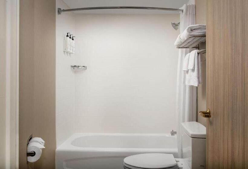 هتل Springhill Suites By Marriott Atlanta Buford/mall Of Georgia