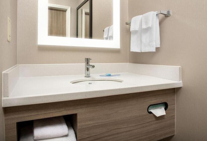 هتل Springhill Suites By Marriott Atlanta Buford/mall Of Georgia
