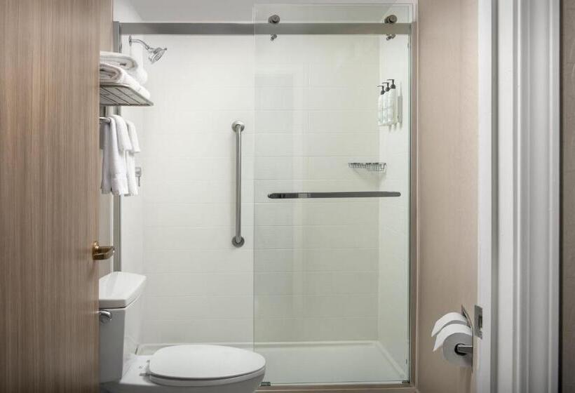 هتل Springhill Suites By Marriott Atlanta Buford/mall Of Georgia