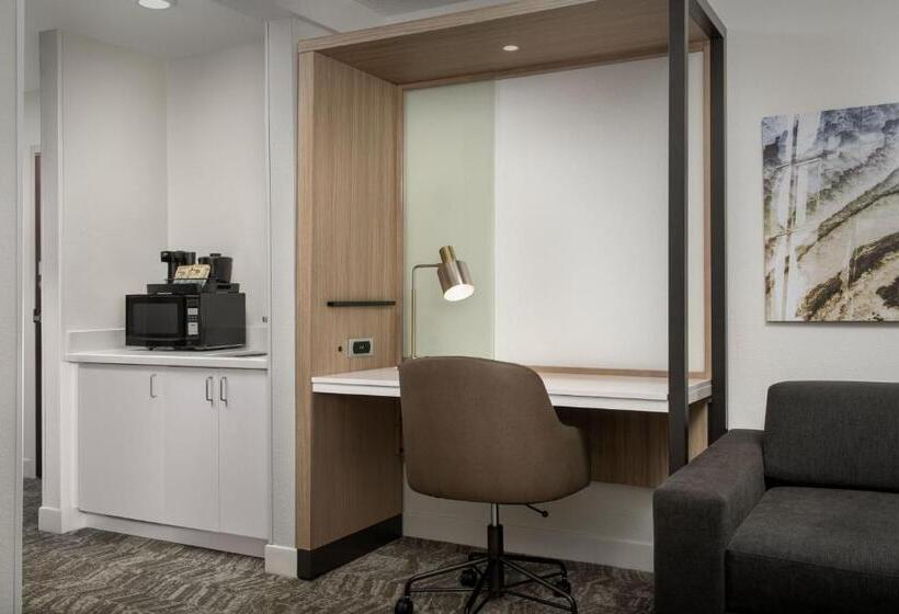هتل Springhill Suites By Marriott Atlanta Buford/mall Of Georgia