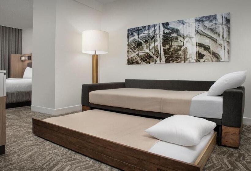 هتل Springhill Suites By Marriott Atlanta Buford/mall Of Georgia