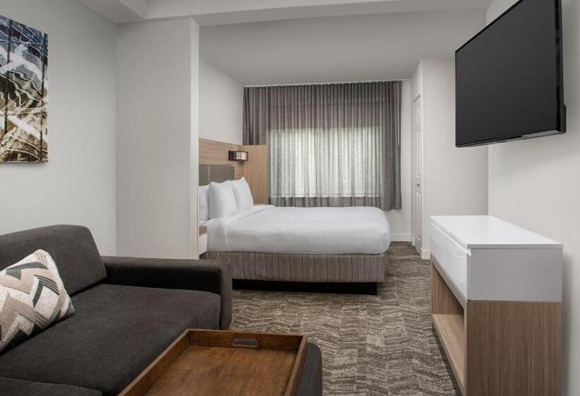 هتل Springhill Suites By Marriott Atlanta Buford/mall Of Georgia