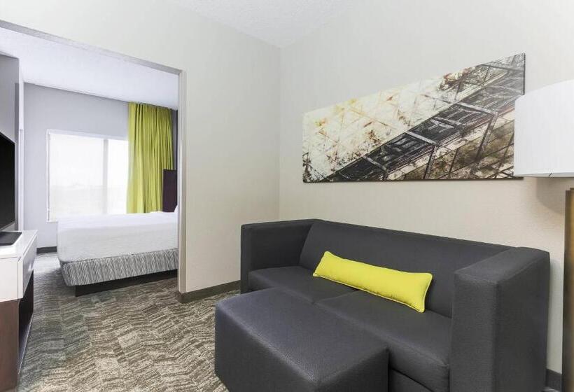 호텔 Springhill Suites By Marriott Austin Parmer/tech Ridge
