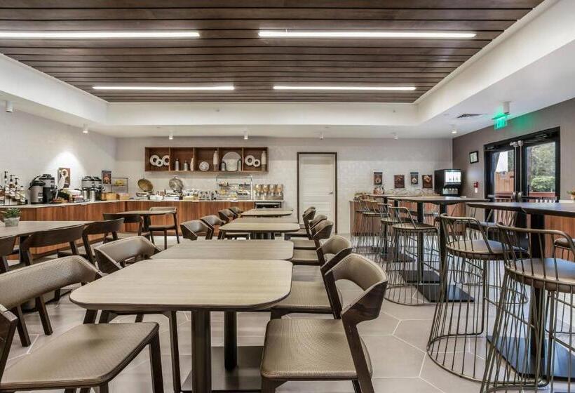 호텔 Springhill Suites By Marriott Austin The Domain Area