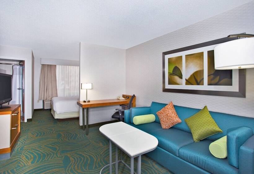 هتل Springhill Suites By Marriott Chicago Southwest At Burr Ridge/hinsdale