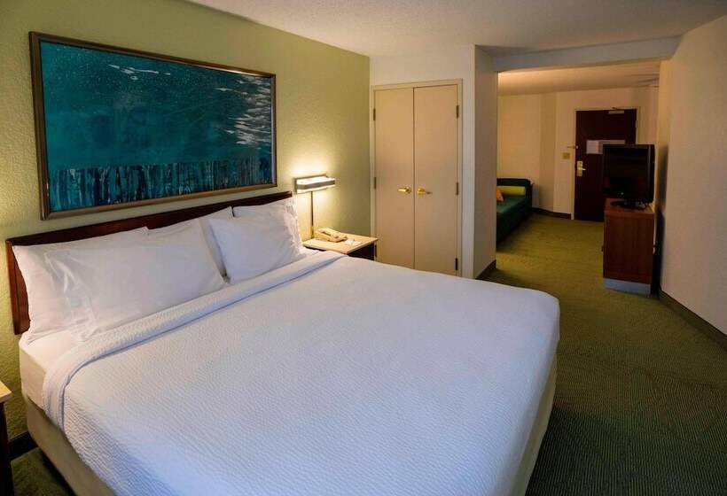 Hotel Springhill Suites Chicago Bolingbrook