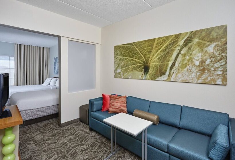 هتل Springhill Suites By Marriott Chicago Schaumburg/woodfield Mall