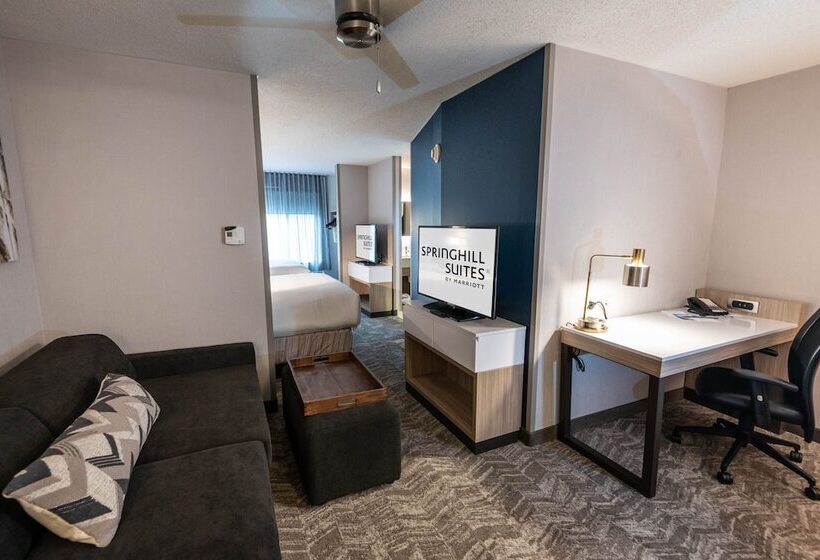 هتل Springhill Suites Columbus Airport Gahanna