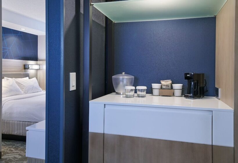 בית מלון כפרי Springhill Suites Detroit Southfield