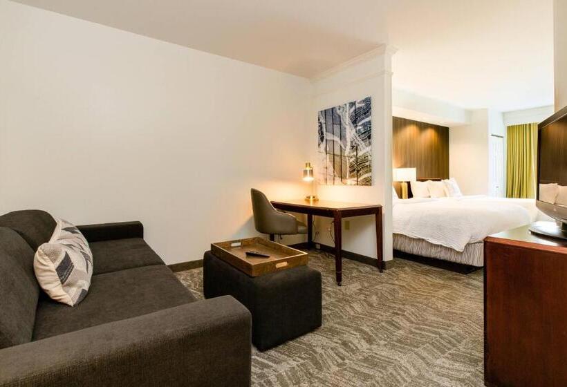 هتل Springhill Suites Florence