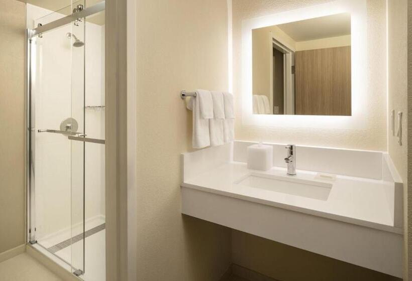 هتل Springhill Suites Fort Worth University
