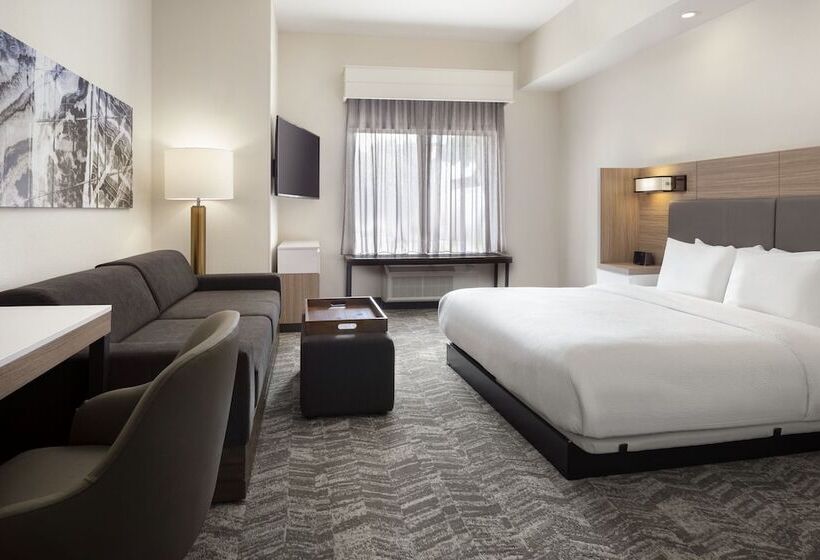 هتل Springhill Suites Fort Worth University