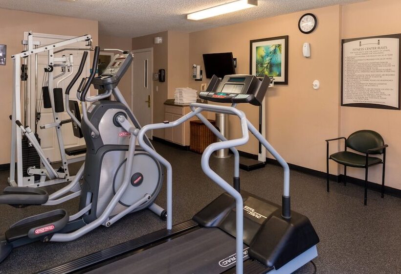 בית מלון כפרי Staybridge Suites Denver Tech Center, An Ihg