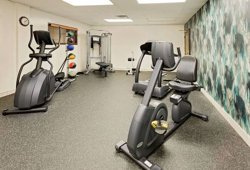 בית מלון כפרי Comfort Inn & Suites Arlington Heights   Schaumburg