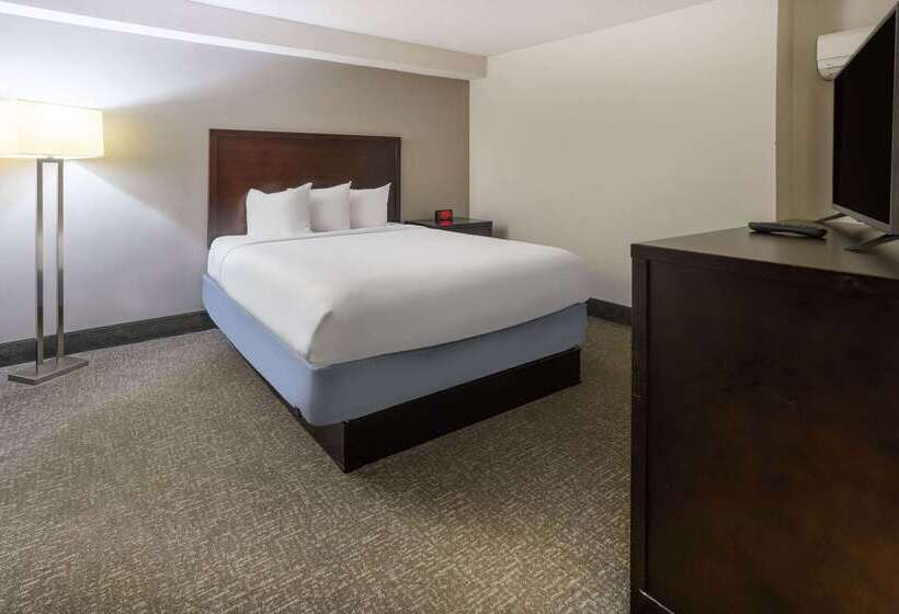 هتل Wingate By Wyndham Atlanta Galleria/ Ballpark