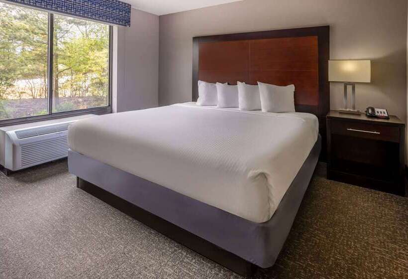 Hotel Wingate By Wyndham Atlanta Galleria Center