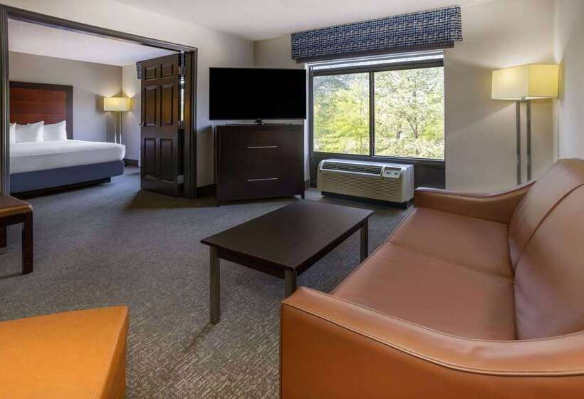 هتل Wingate By Wyndham Atlanta Galleria/ Ballpark