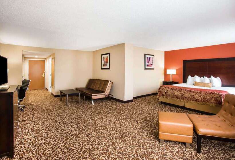 هتل Wingate By Wyndham Atlanta Galleria/ Ballpark