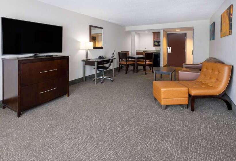 هتل Wingate By Wyndham Atlanta Galleria/ Ballpark