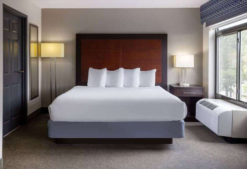هتل Wingate By Wyndham Atlanta Galleria/ Ballpark