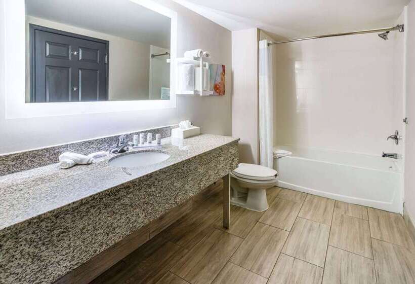 هتل Wingate By Wyndham Atlanta Galleria/ Ballpark