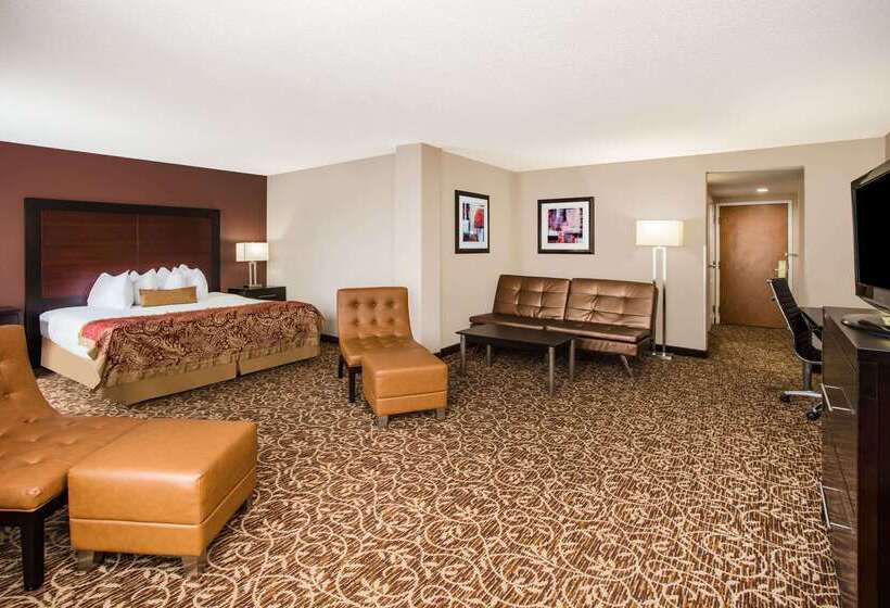 هتل Wingate By Wyndham Atlanta Galleria/ Ballpark